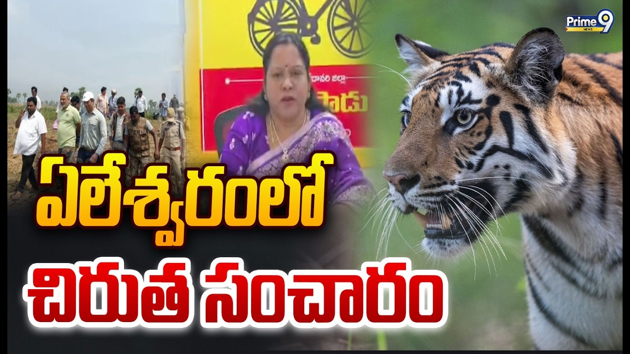 ఏలేశ్వరం మండల పరిసరాల్లో చిరుత సంచారం | Kakinada District | Prime9 News