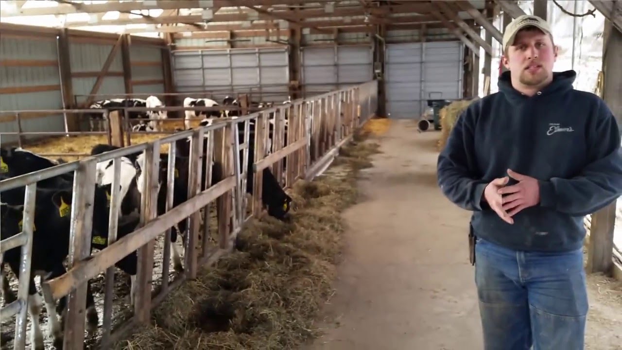Calf Shed Tour