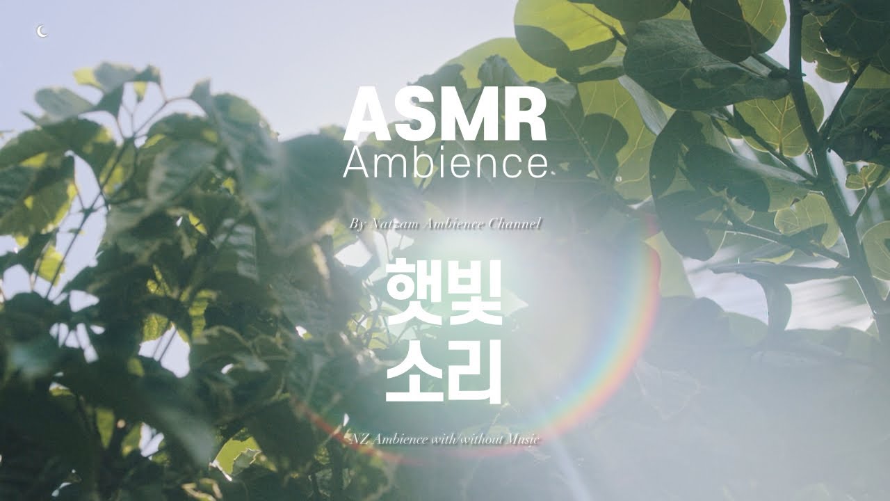 그럼에도 불구하고 살아지는 이유🌙햇빛을 소리로 만들면 (7시간) /공부할 때 듣는 ASMR 앰비언스