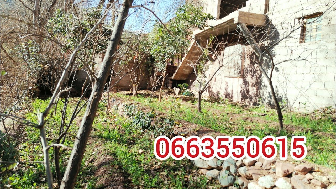 منزل للبيع🏡 بالجرضة في منطقة ولماس🌹 نواحي أوريكا👍 بثمن جد مناسب 0663550615