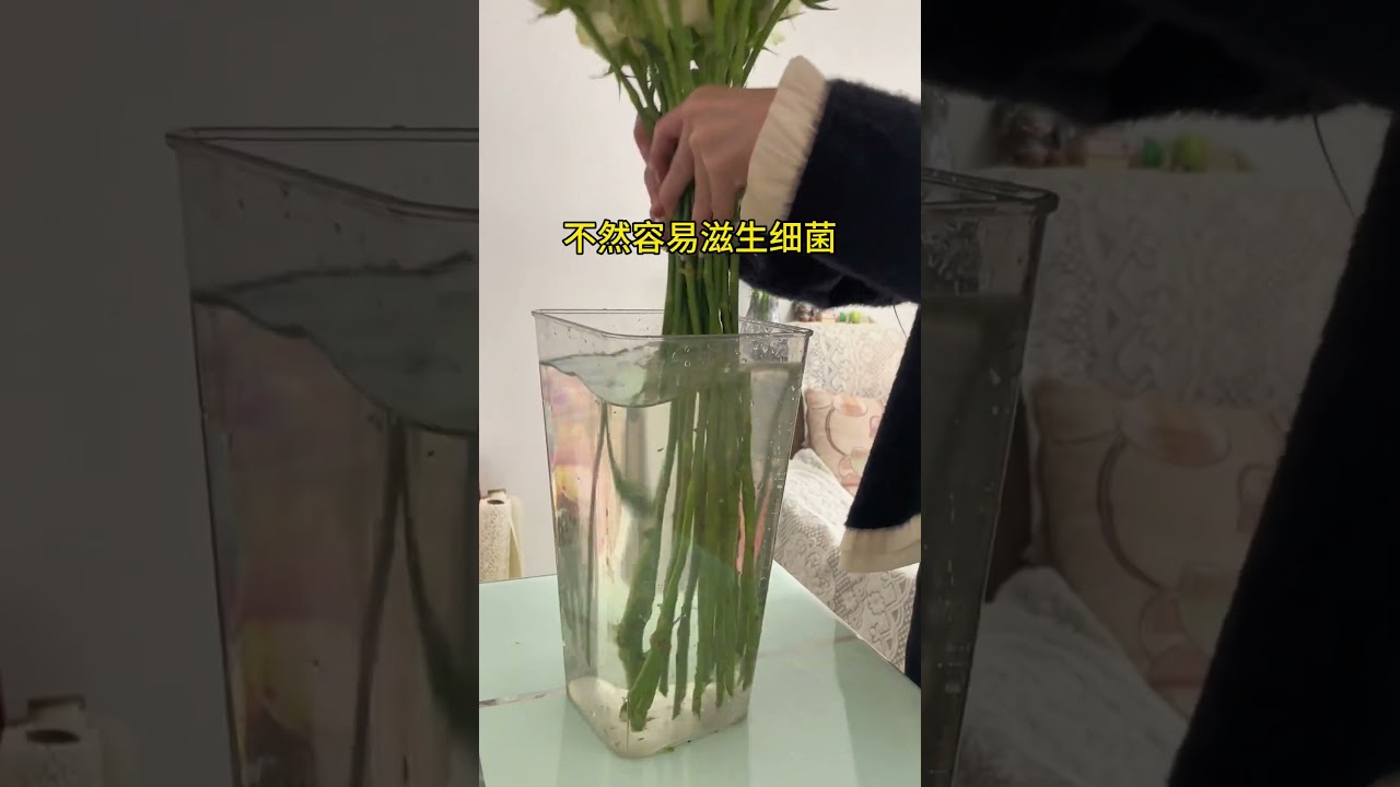 醒花醒的好、是花期长短的关键！花店都在用的84泡腾片！快安排鲜花养护 居家插花 醒花 好物推荐🔥 延长花期