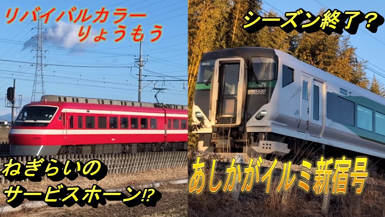 【強風音ご注意！伊勢崎線特急と今シーズン最後？JR両毛線 きらきらイルミ】大寒波による強風と風花が舞った足利の路線を撮影！