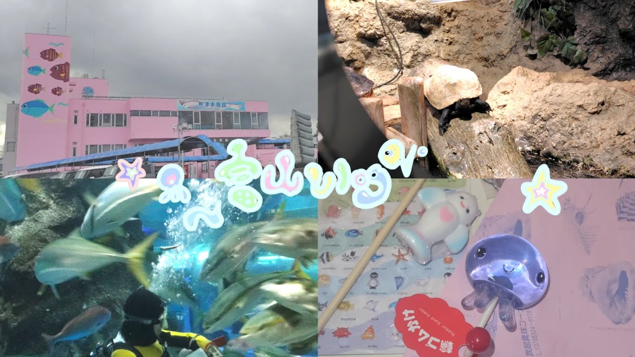 【Vlog】富山Vlogと購入品紹介.念願の魚津水族館へ、真珠コーナーで買ったお土産紹介します🪼