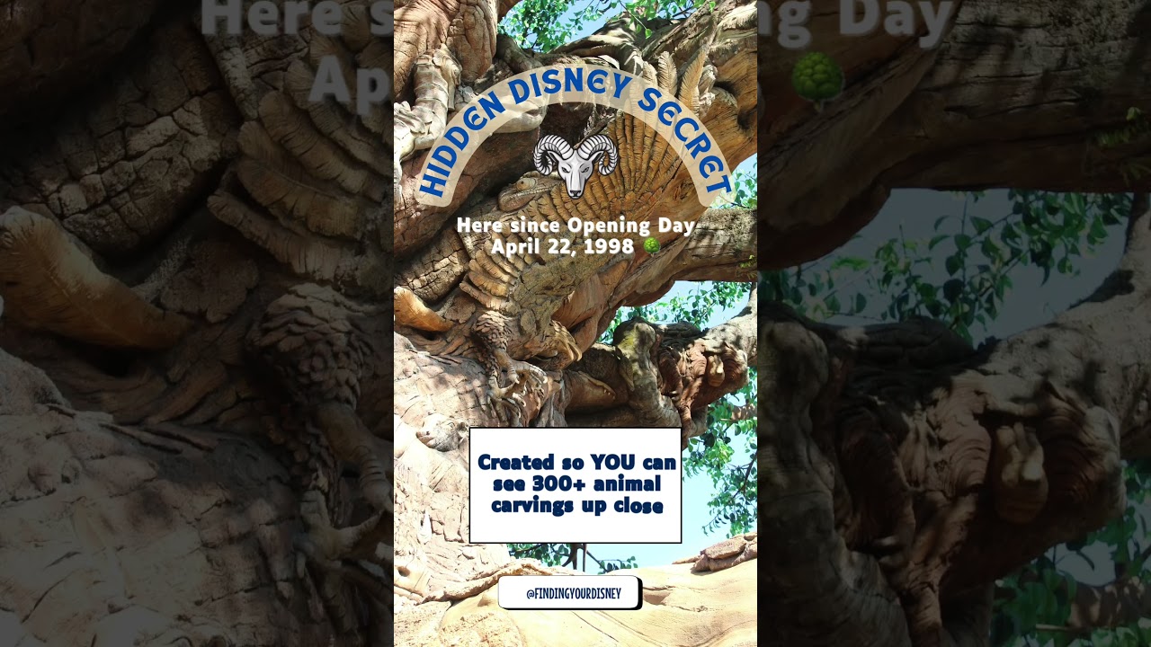 Animal Kingdom's Best Kept Secret Revealed!