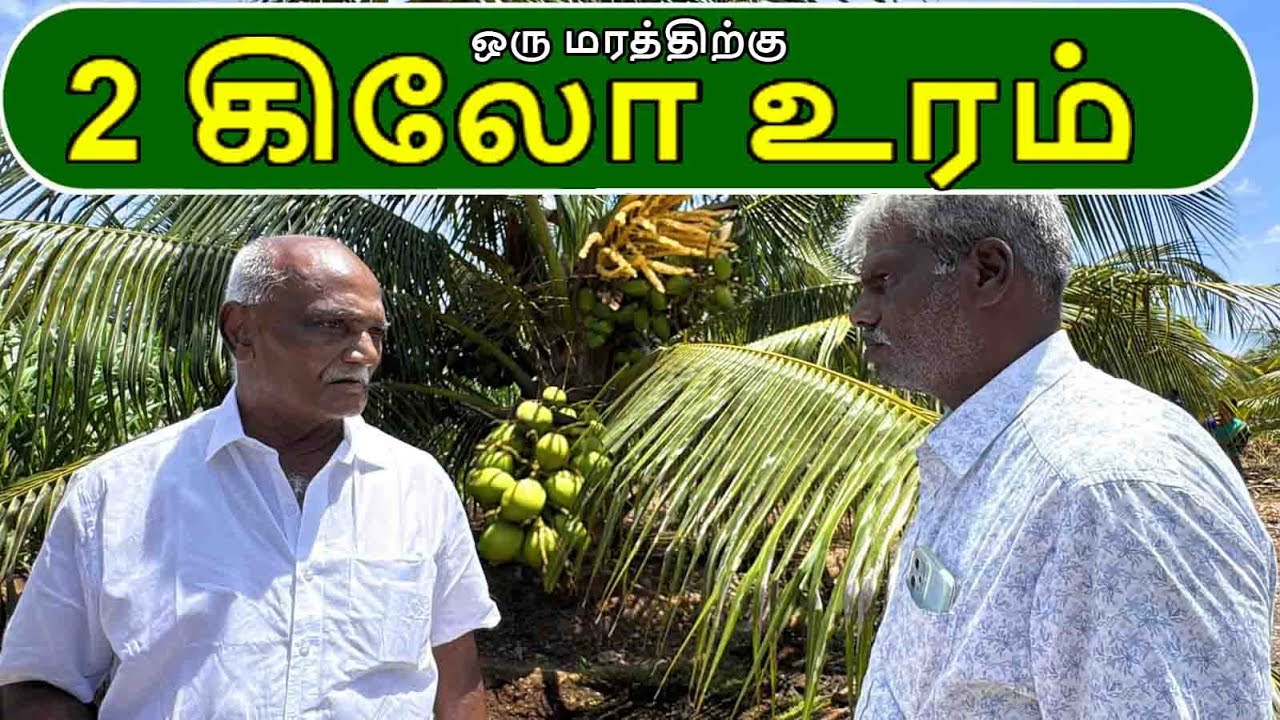 ஒரு மரத்திற்கு 2 கிலோ உரம் | 2 kg of fertilizer per tree | Ponnuswamy