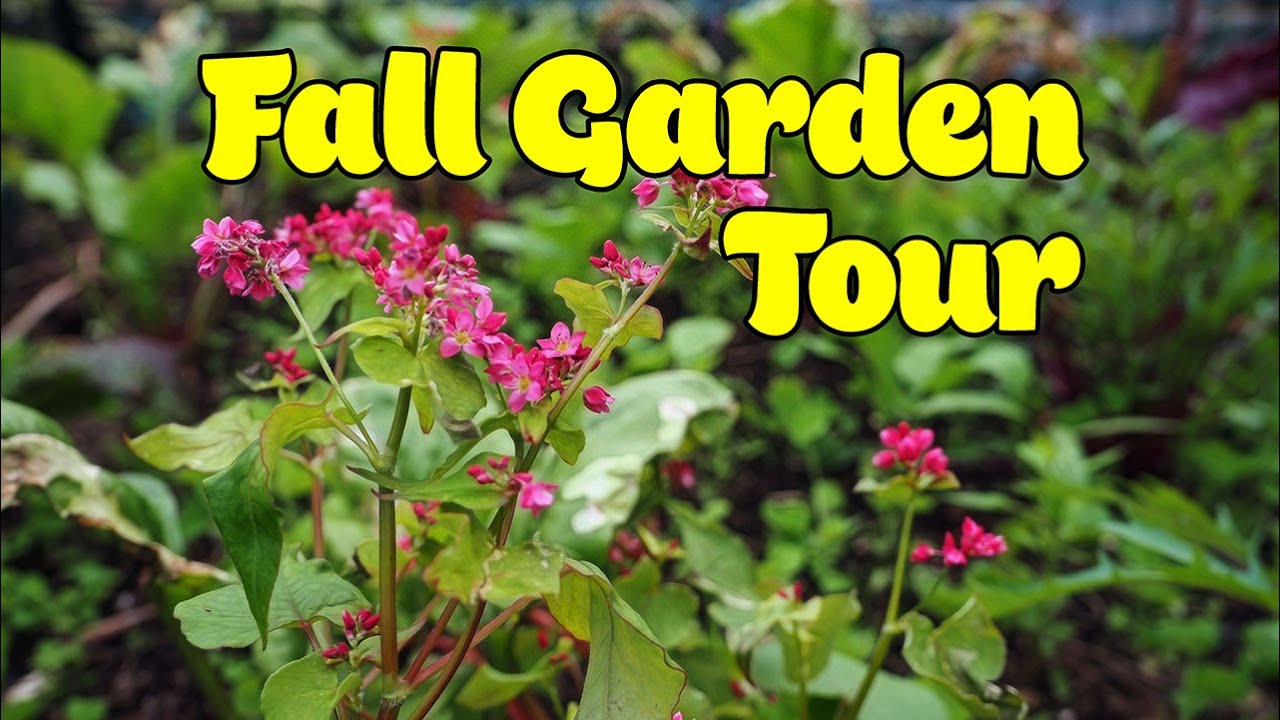 Fall Garden Tour