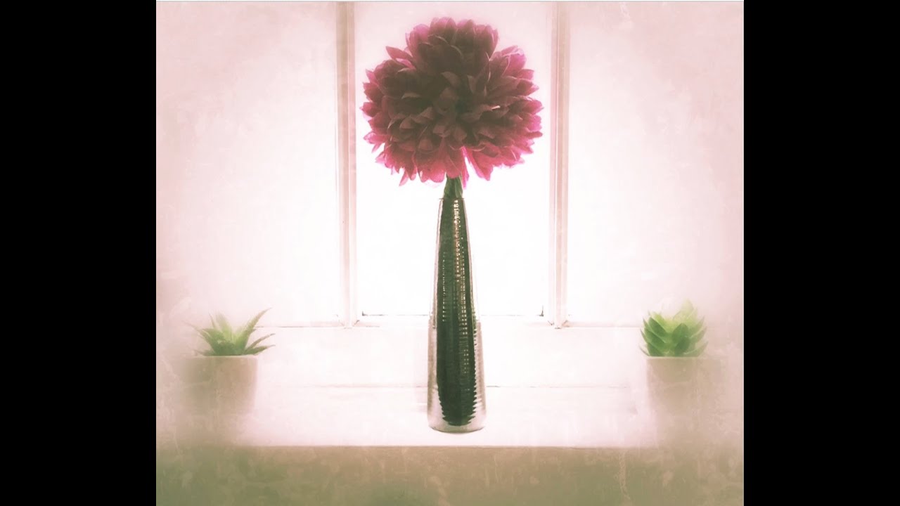 Photography in the Home: iPhoneography with Nicki Fitz-Gerald: AdoramaTV