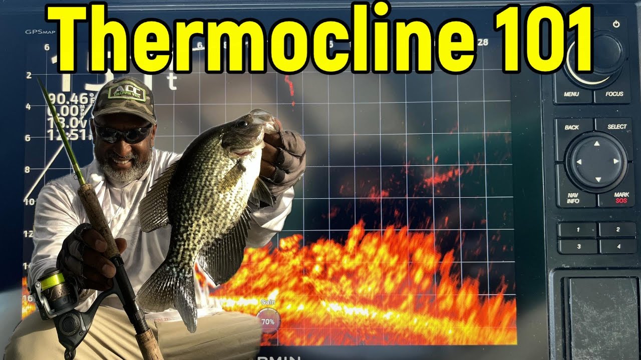 Thermocline 101 - How to locate Summer Slabs Eps#185 #acccrappiestix #crappiefishing #livescope