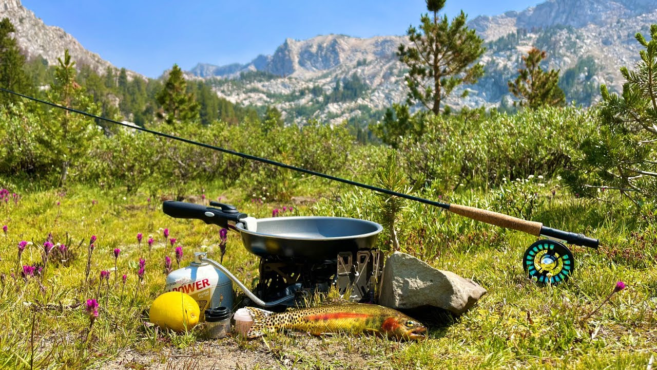 FLY FISHING Catch & Cook For WILD GOLDEN TROUT in a High Elevation Mountain Lake!