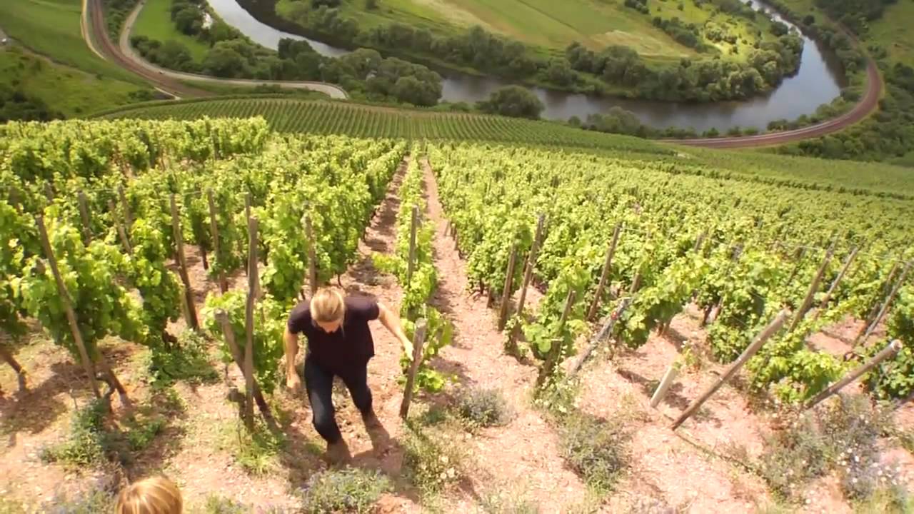 Weinmanufaktur Van Volxem