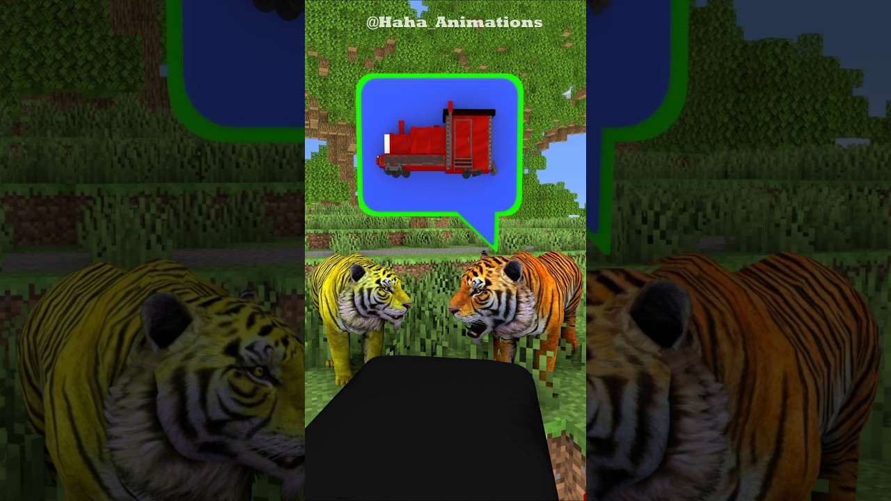 What did the two tigers see in the forest?
