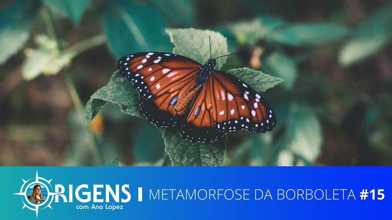 Metamorfose da Borboleta | ORIGENS [TEMP 09 - EP 15]