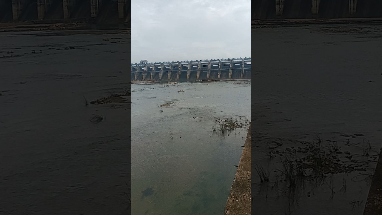 dhamtari gangrel bandh gangrel bandh