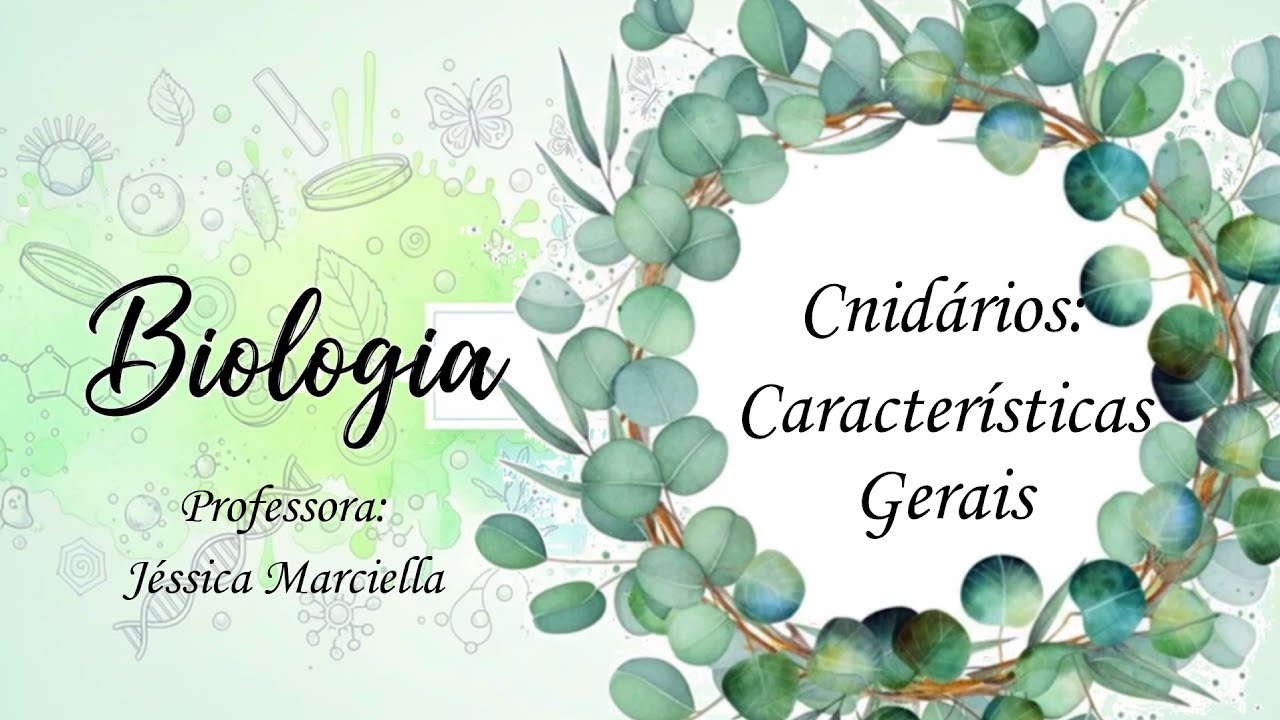 8.3.1 Cnidários: Características Gerais