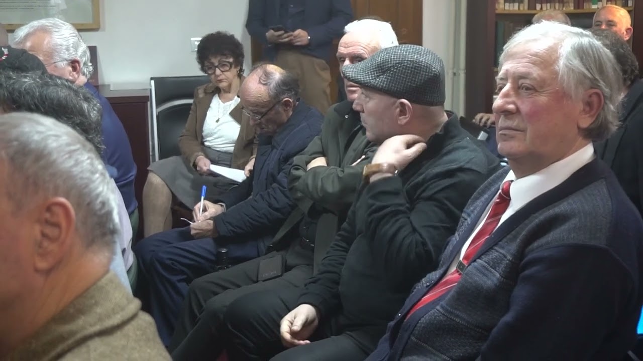 Dr.Stefan Pinguli partite si Kosove dhe shqiperi po demtojne historine e shqiptareve