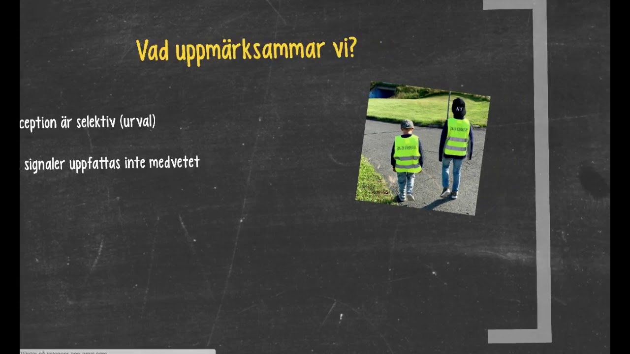 Kognitionspsykologi: perception
