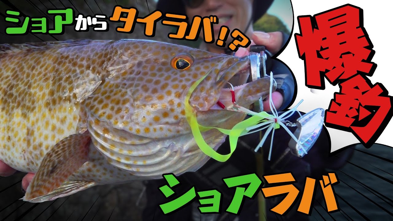【ヒロセマンTV】ショアラバなら速攻釣れる簡単ロックゲーム！　ショアラバしませんか？