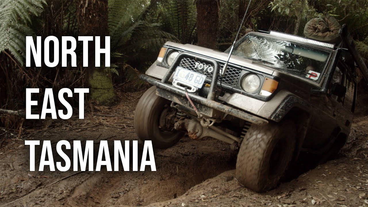 3 Vehicle Convoy. Jeep Track Pyengana Tasmania. 1986 Toyota Bundera, 1997 80 Series, 1991 GQ Patrol.