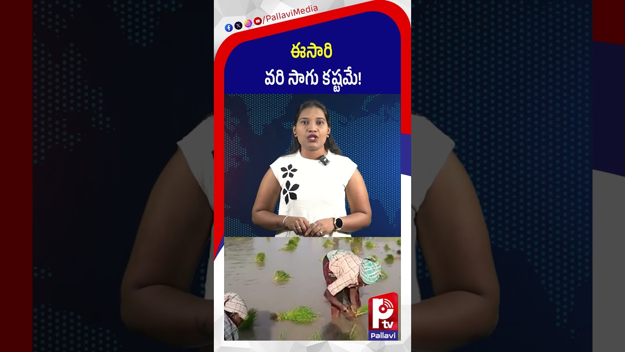 ఈసారి వరి సాగు కష్టమే | BIG Alert for Farmers Agri Tech Weather | Pallavi Tv