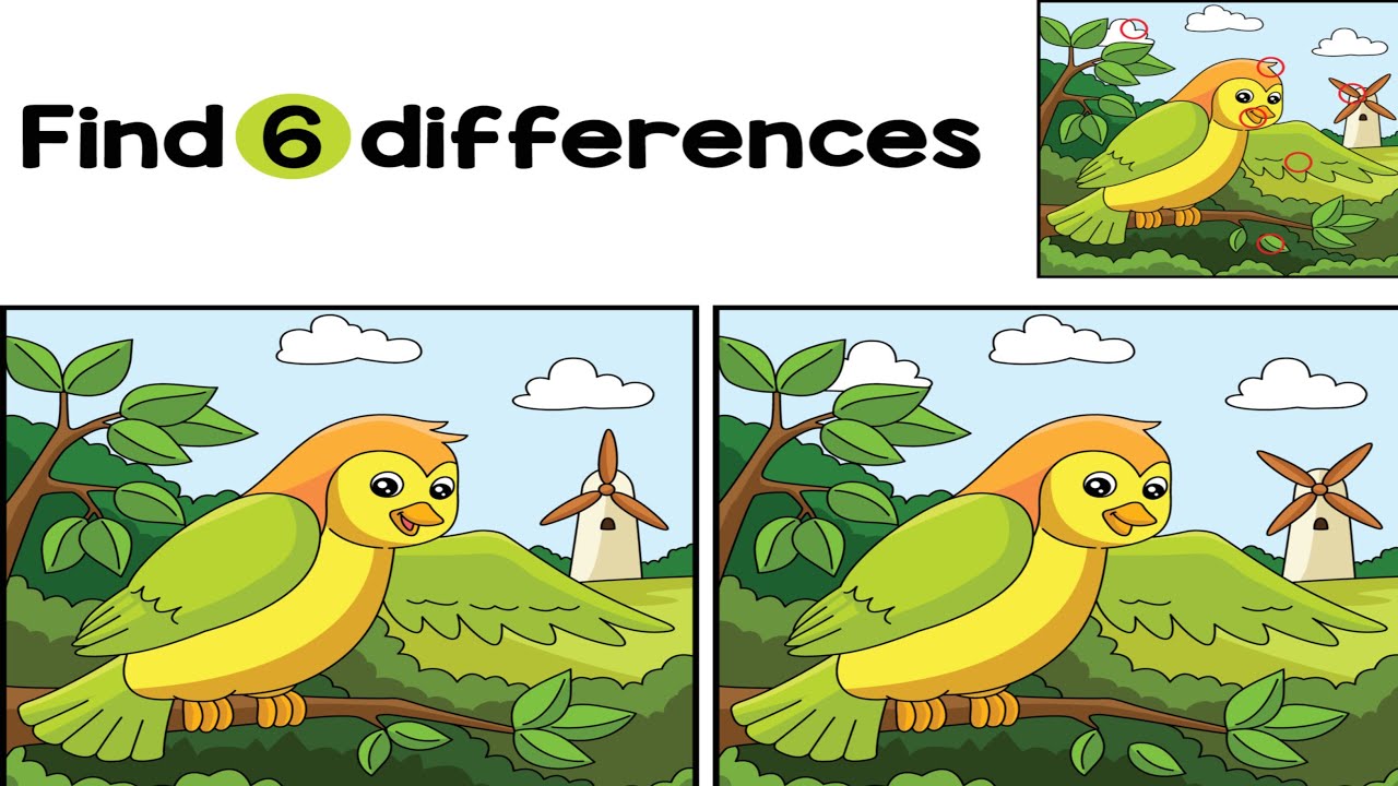 Find 6 Differences Between Two Pictures | Live Puzzle Challenge