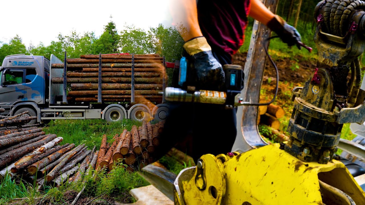 Applying Grease and Loading Spruce Logs