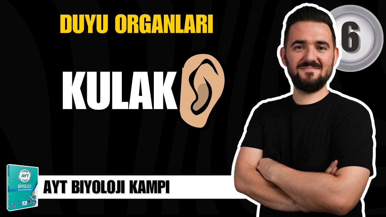 AYT Biyoloji Kampı | 6. G&Uuml;N | Duyu Organları - Kulak | yks2025