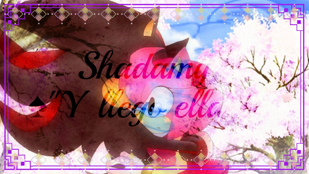 Shadamy ♥ 