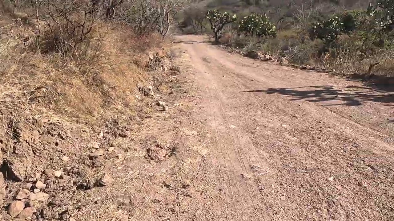 De la explanada a medio circuito