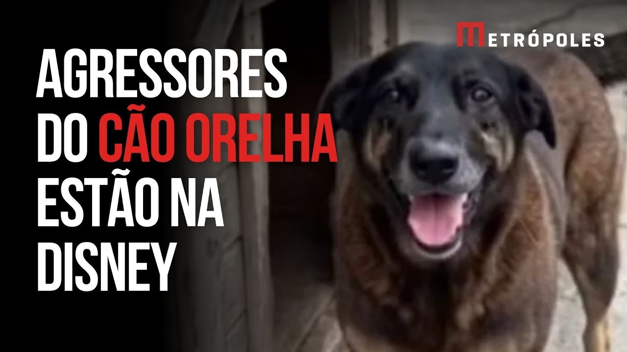 Adolescentes investigados pela morte do cão Orelha estão na Disney