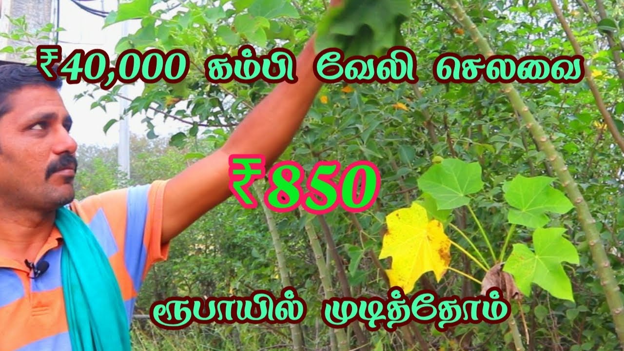₹40,000 கம்பி வேலி செலவை ₹850 ரூபாயில் முடித்தோம்!உயிர்வேலியின் முக்கியத்துவம் DeadlyCheapBiofencing