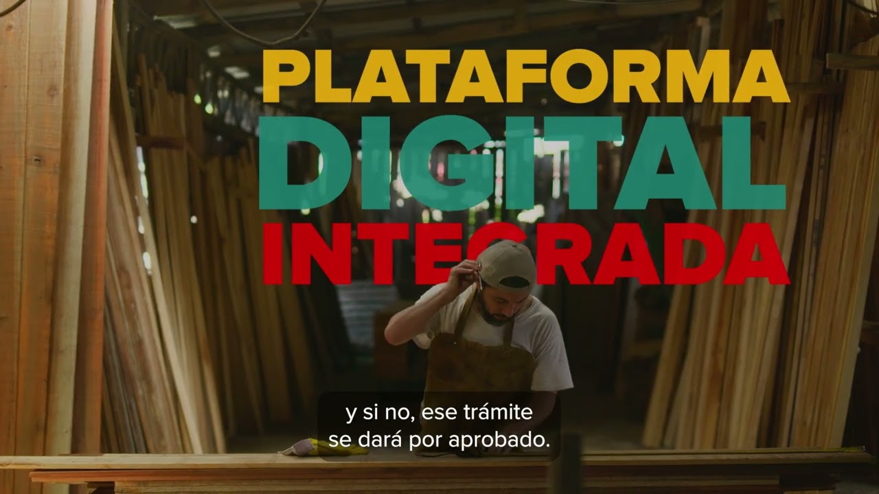 Programa de Gobierno: Empleo