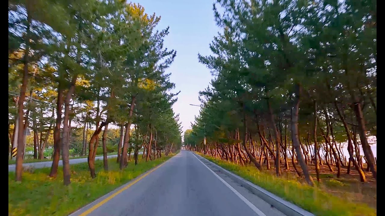 Korea's East Coast Sunrise Drive 4K 🚗🌅 | Scenic Ocean Roads & Chill Lo-fi Music