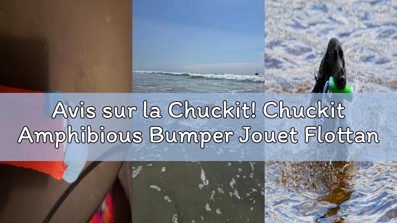 Avis sur la Chuckit! Chuckit Amphibious Bumper Jouet Flottant pour Chien Taille M, 1 Pièce (Couleur