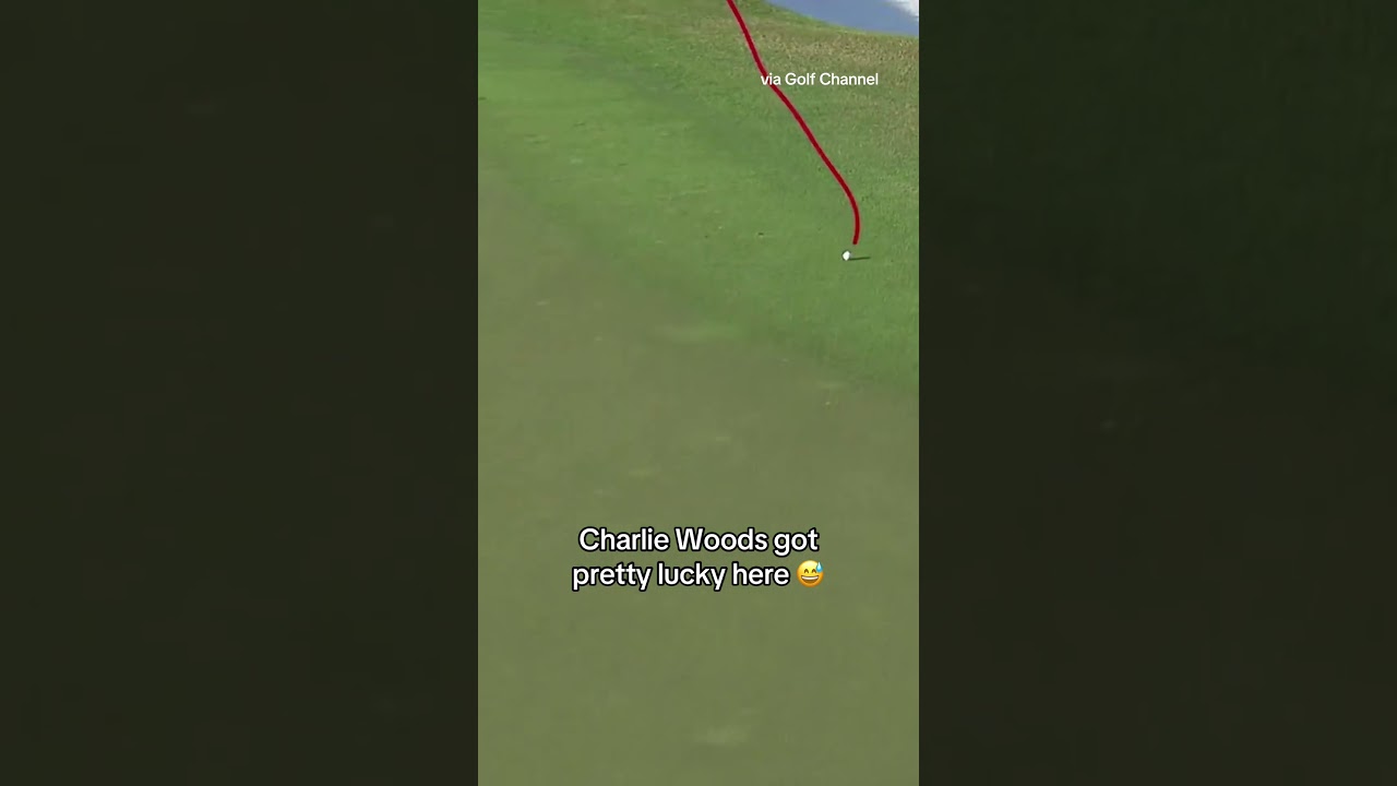 Dad wasn't amused 🐅