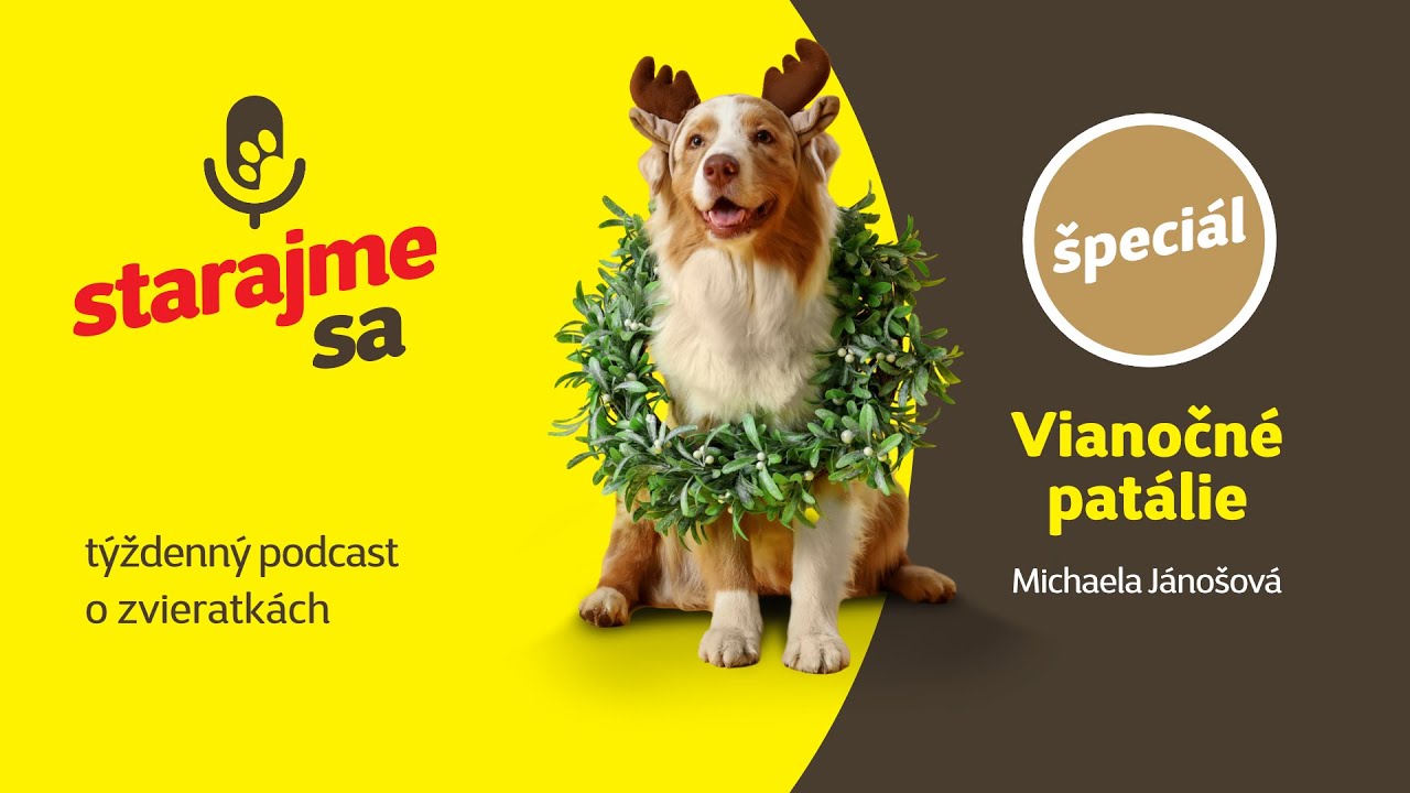 Starajme sa | Špeciál: Vianočné patálie