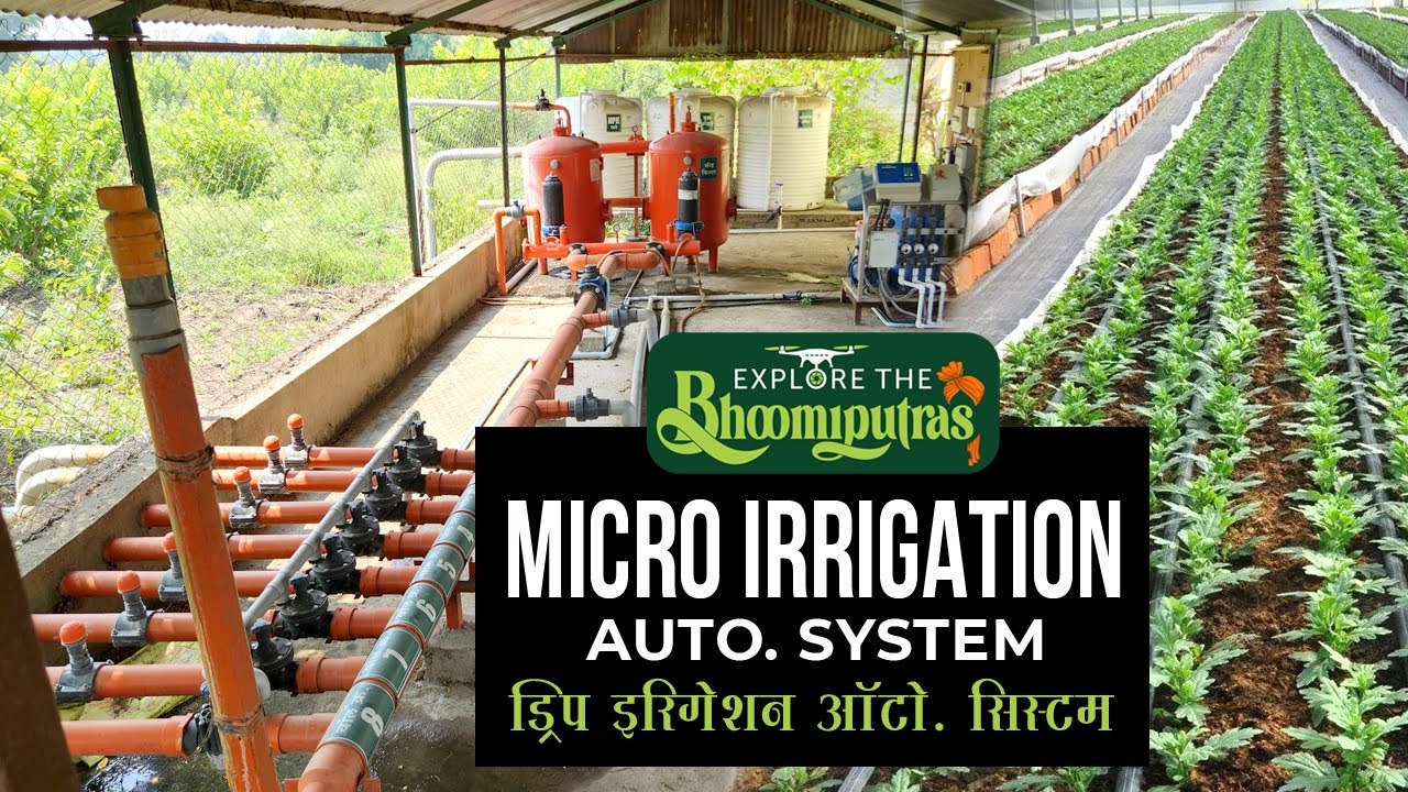 Micro Irrigation Automation System | Drip Irrigation | what is micro irrigation | सिंचाई के प्रकार