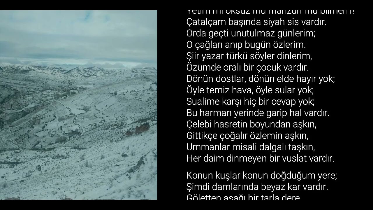 🎼 Göçün Kuşlar 🎵