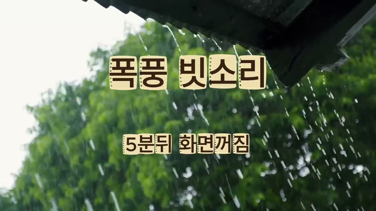 폭풍 빗소리 5분뒤 화면 꺼짐_stom rain ASMR 불면증 치료