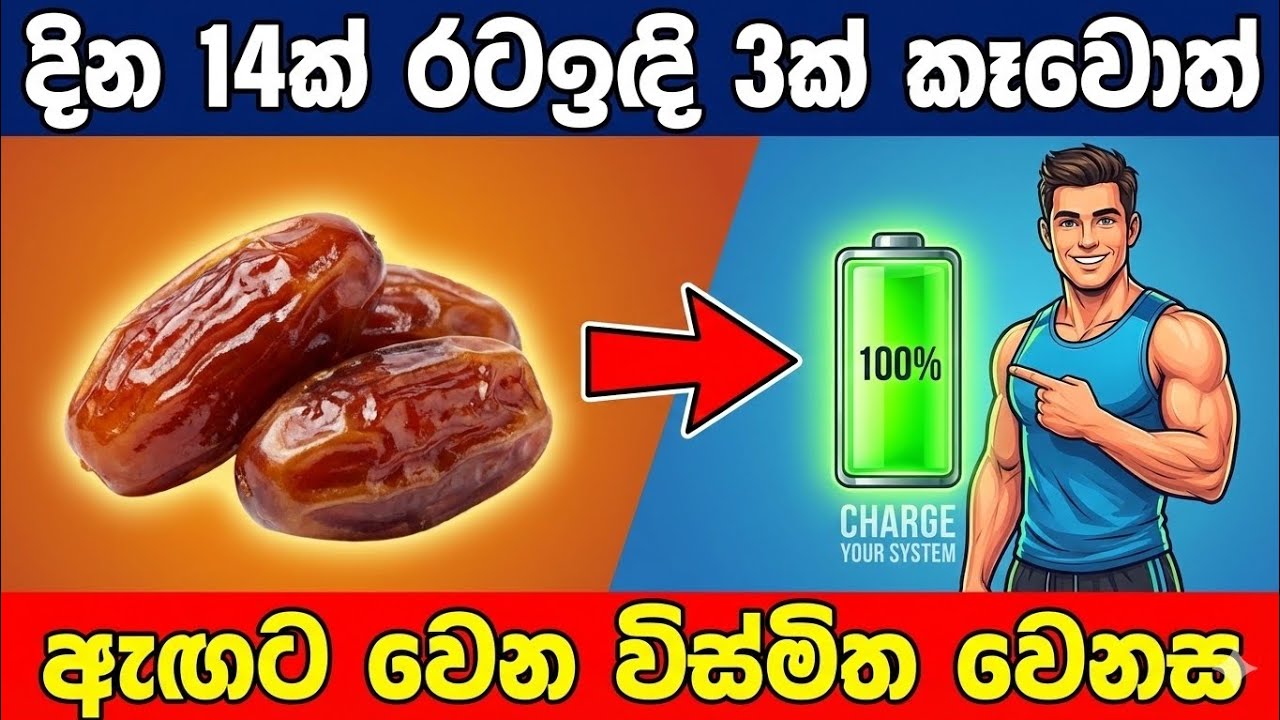 දිනපතා රටඉඳි 3ක් දවස් 14ක් කෑවොත්? | What Happens If You Eat 3 Dates a Day for 14 Days?