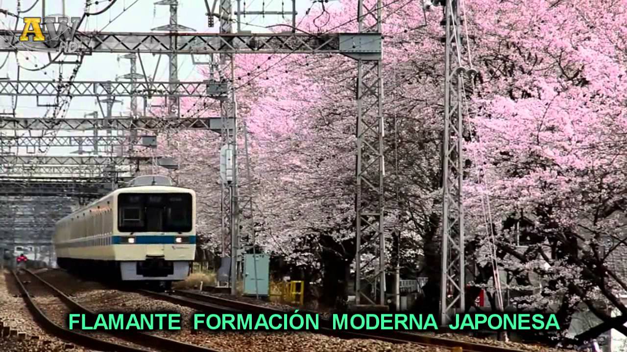 Trenes De Cris Y Randazzo -VS- Trenes De Japón ─ [2014]