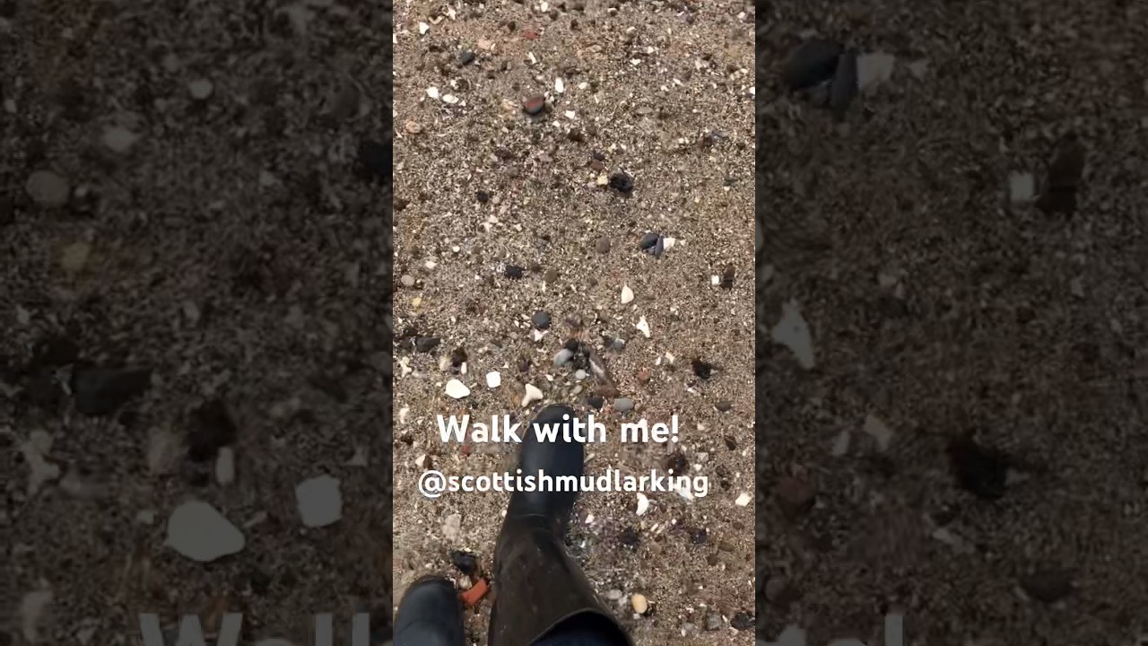 Walk the beach with me! #beach #scotland #beachcombing #shorts
