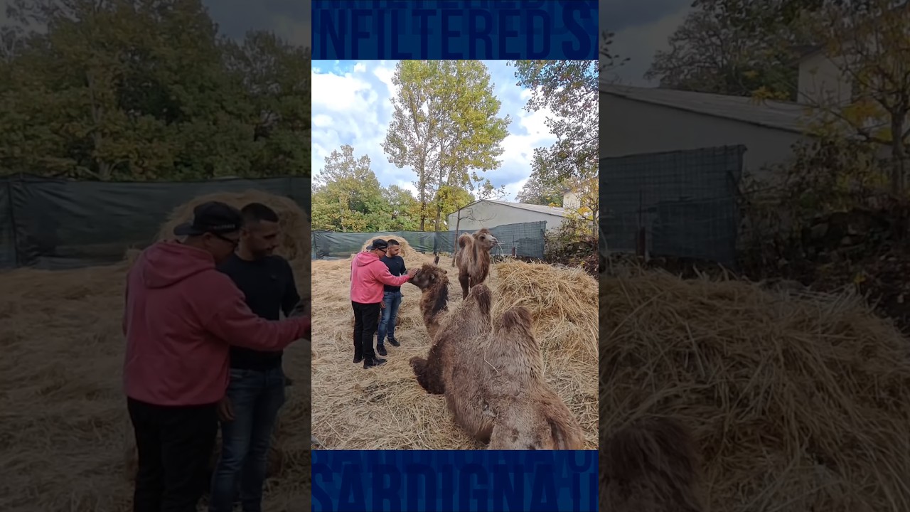 a Ovodda con Michele Ladu per Ungrones de Bidda, inserita nel circuito autunnoinbarbagia