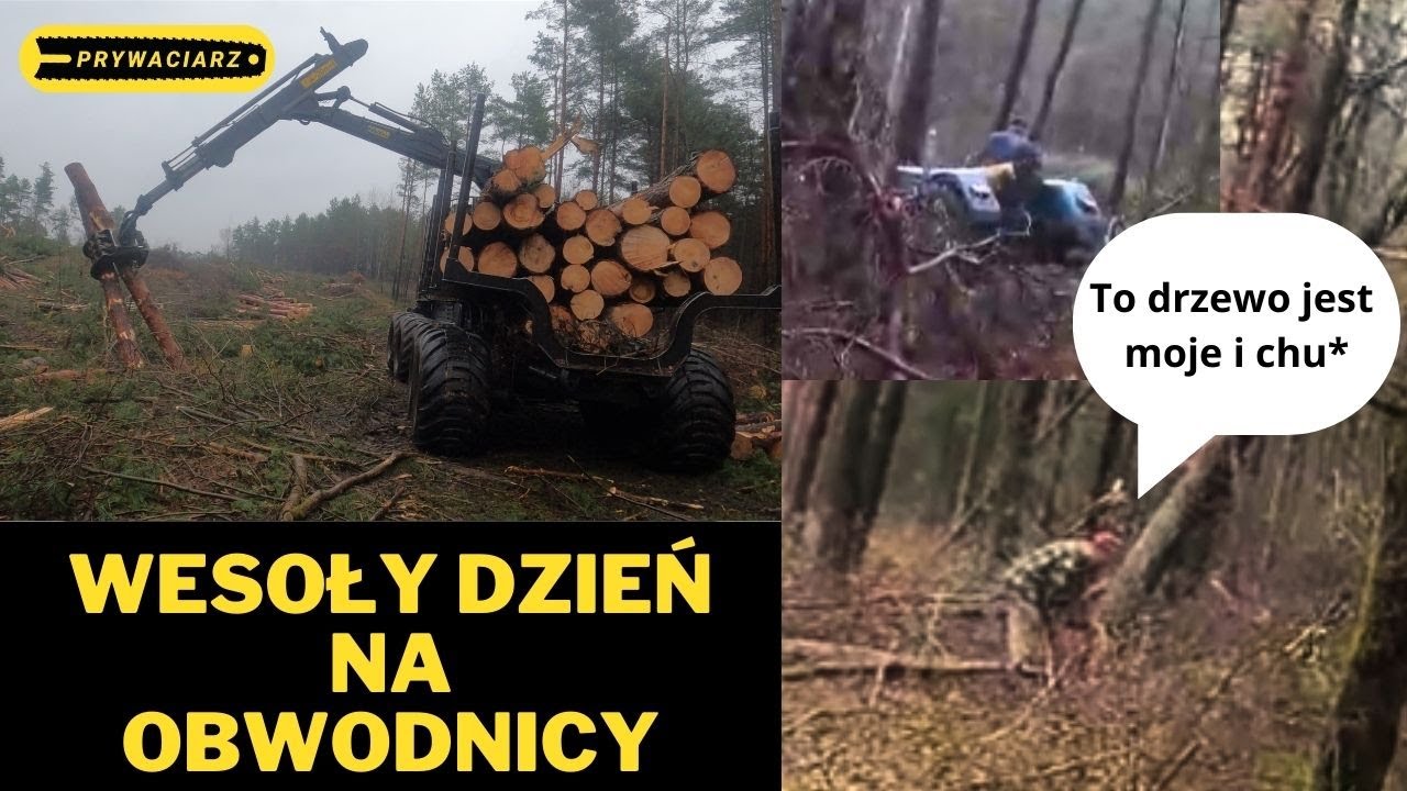TO DRZEWO JEST MOJE I CH**🌲Ponsse Ergo🌲Operator Harwestera🌲3 ODCINEK🌲