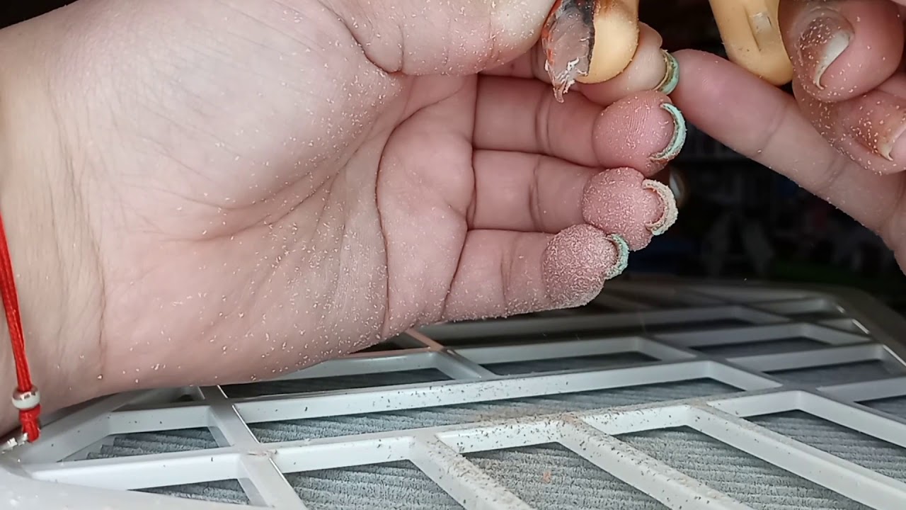 Young Nails Dust collector demo