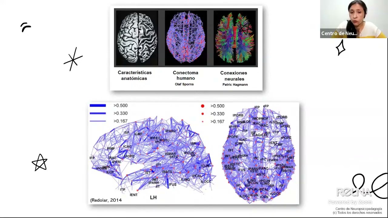 CURSO  NEURODIDACTICA DE LA COMPRENSION LECTORA