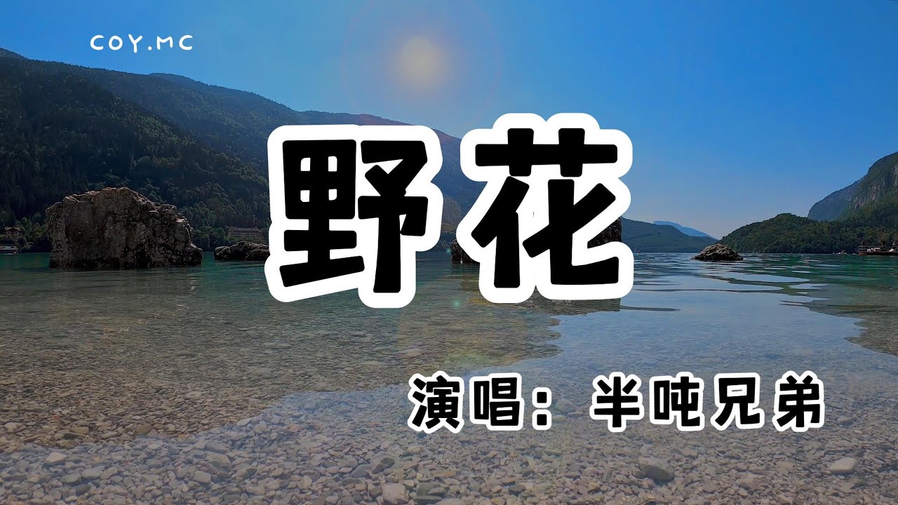 半噸兄弟 - 野花『從沒人知道我的名字 也沒人了解我的故事』（動態歌詞/Lyrics Video/無損音質/4k）