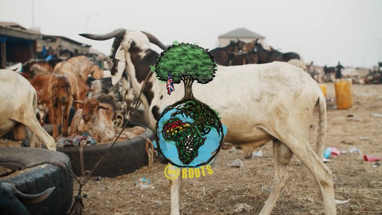 NSG - Roots [Visualizer] (Official Audio)