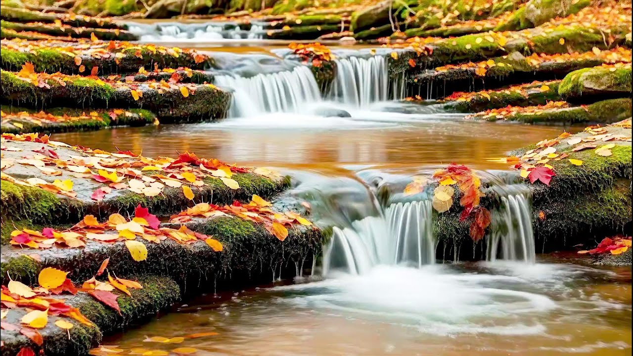 Soothing River Sound for Deep Sleep | Natural White Noise for Wellness & Calm Mind