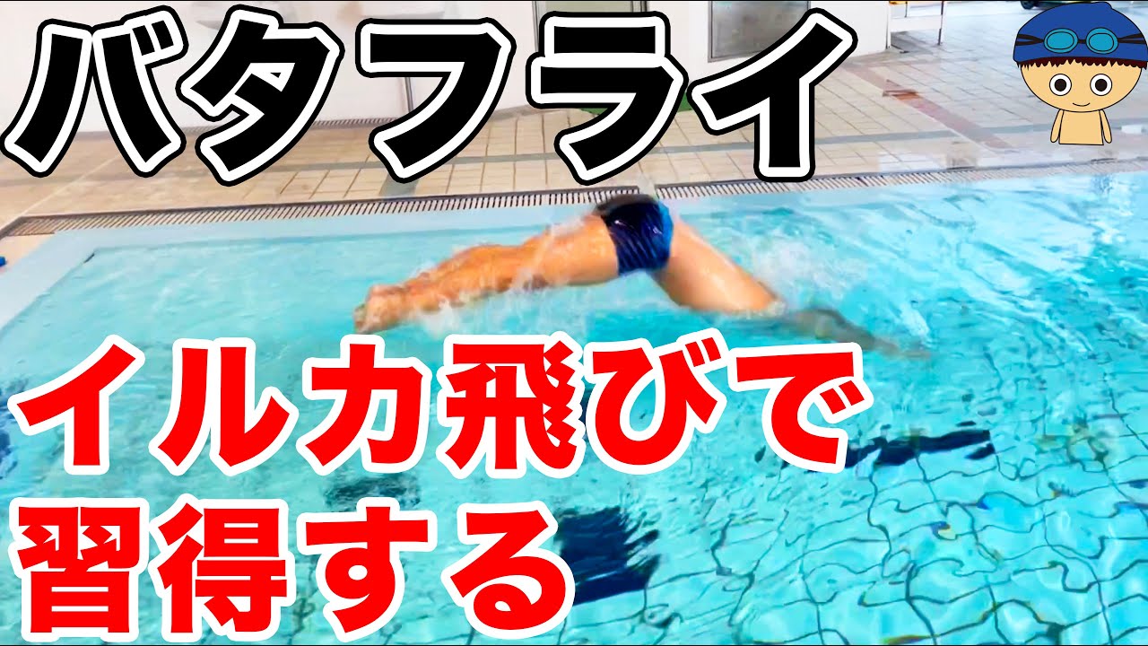 【バタフライ】習得ドリル【イルカ飛び】沈んで浮く楽な泳ぎを習得する