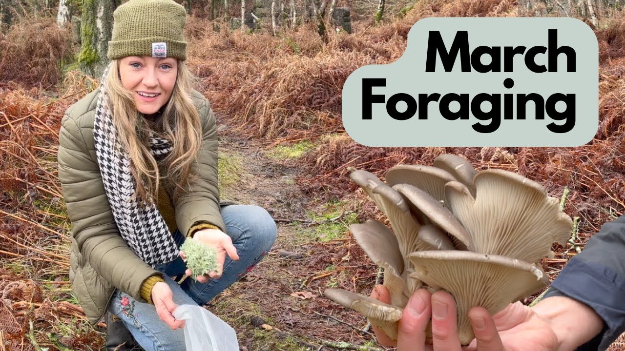 March Wild Food - The Last Forage of Winter | UK Foraging